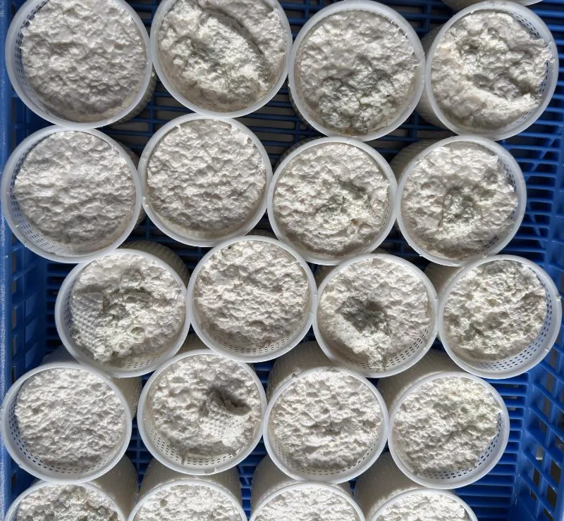 Proceso de elaboración del queso Can Pujol
