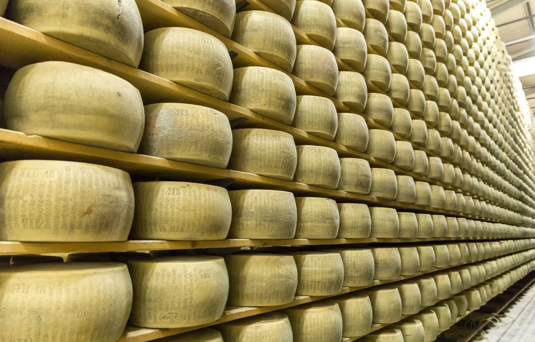 Parmessano Reggiano Quesos italianos