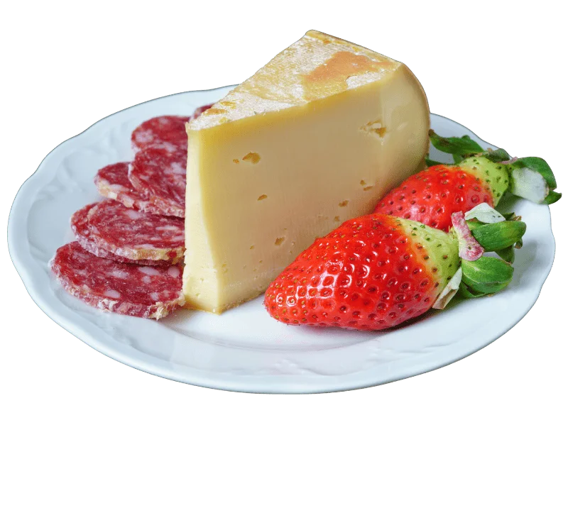 Queso Fontina Mejores quesos italianos