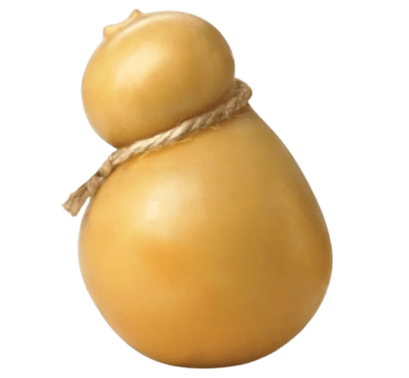 Queso Scarmoza Mejores queso italianos