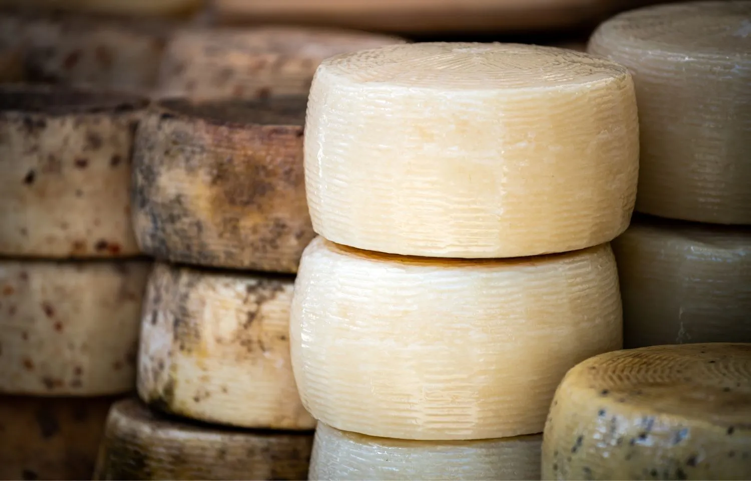 Sustitución de pecorino por queso español