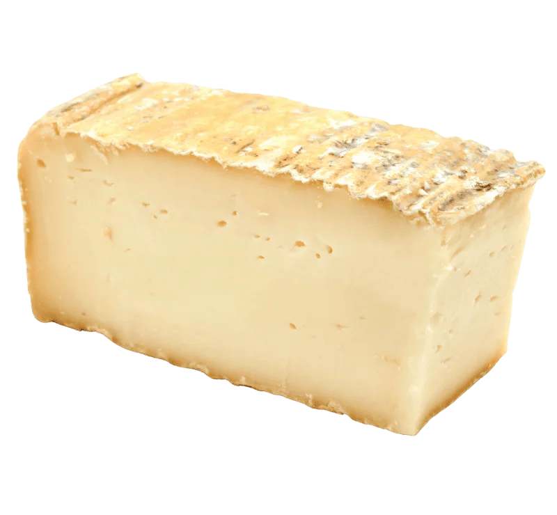 Taleggio Mejores quesos italianos
