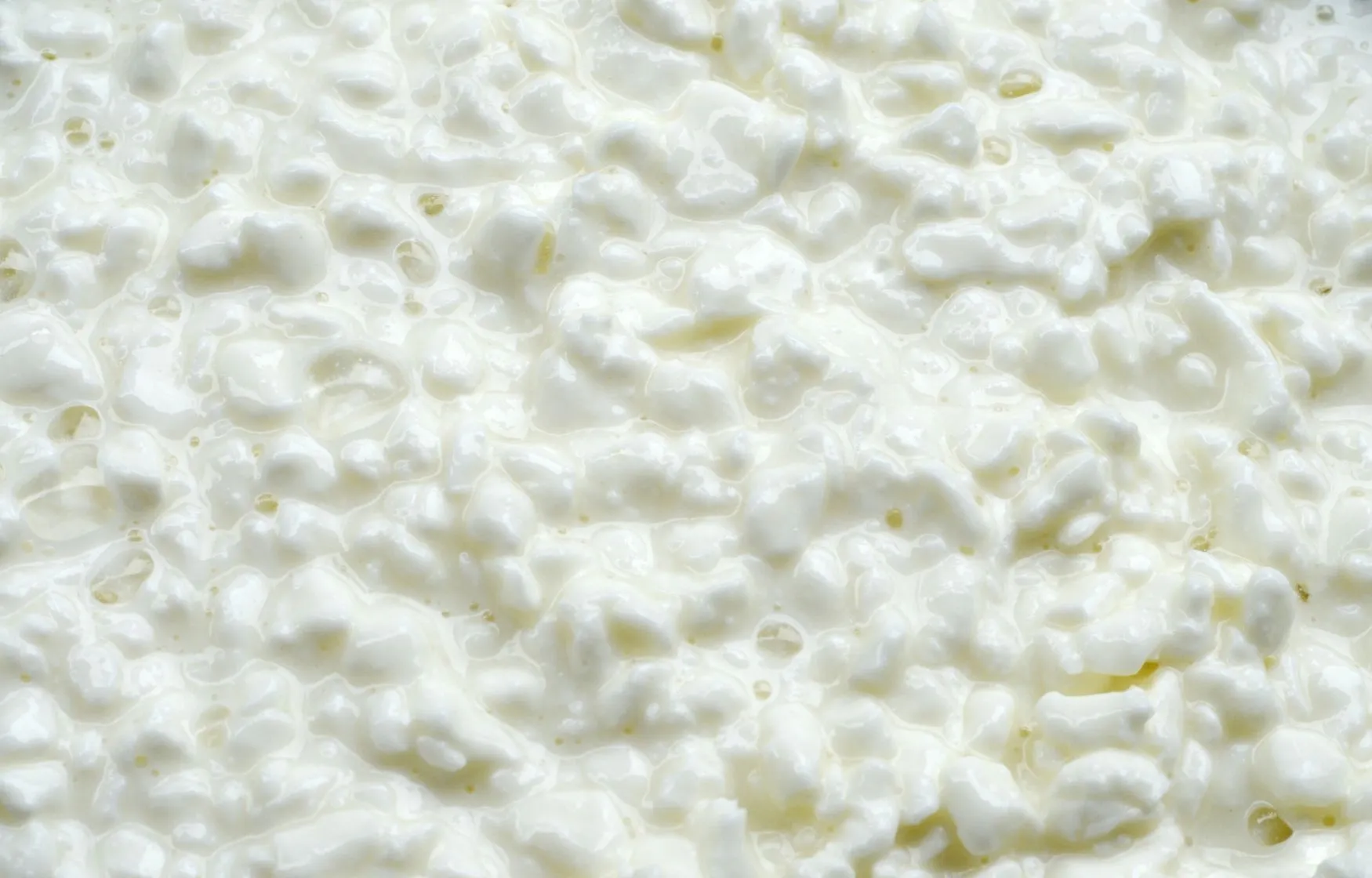 el queso cottage es saludable