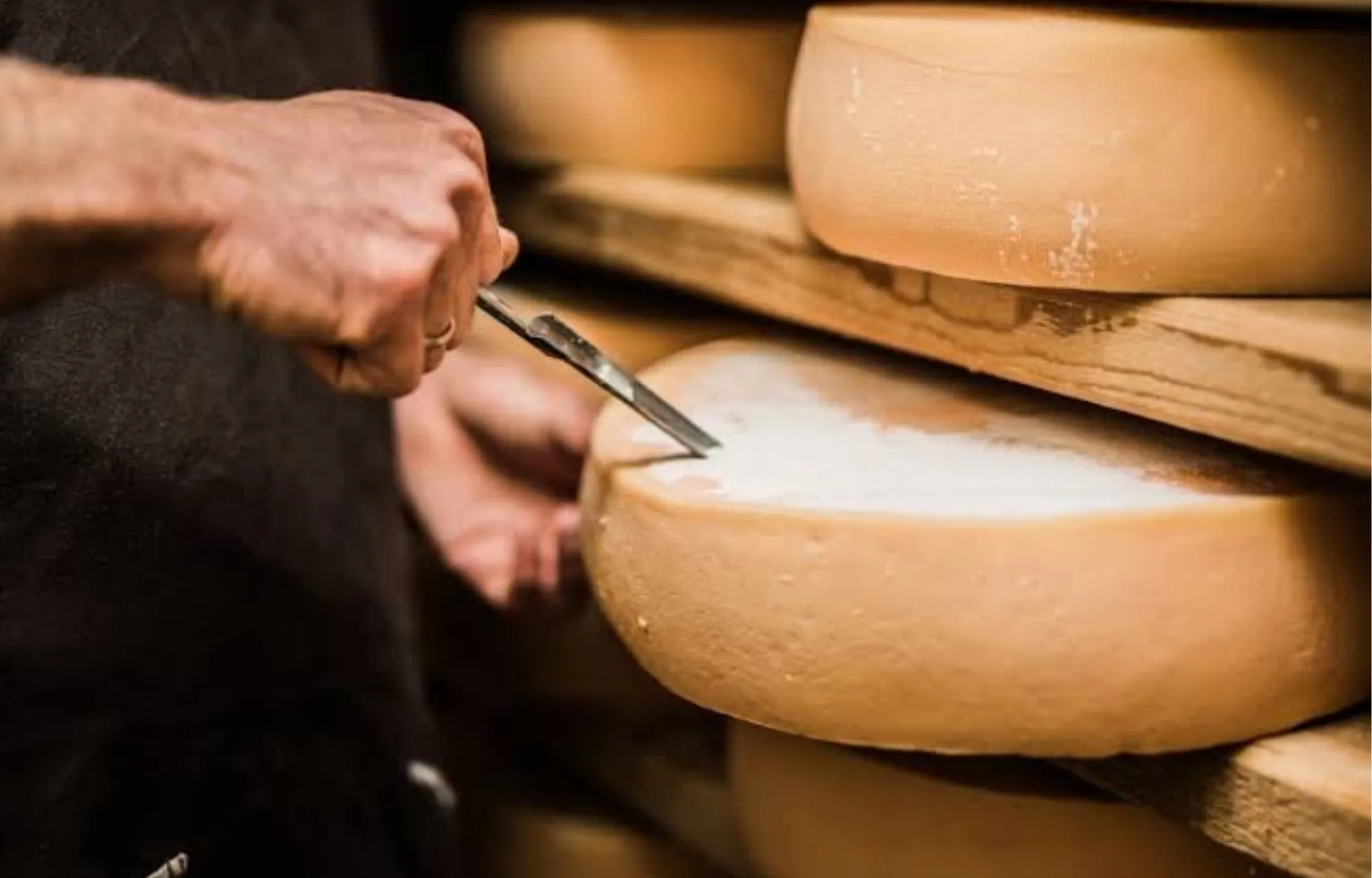 queso pule el más caro del mundo