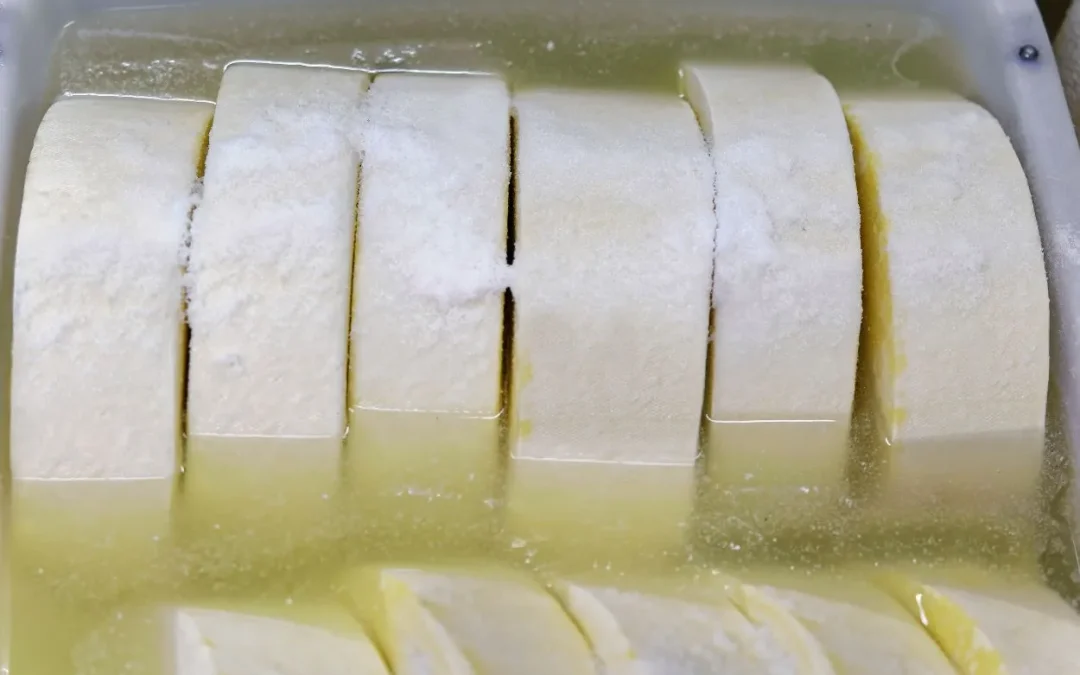 ¿Cómo conservar el queso fresco?