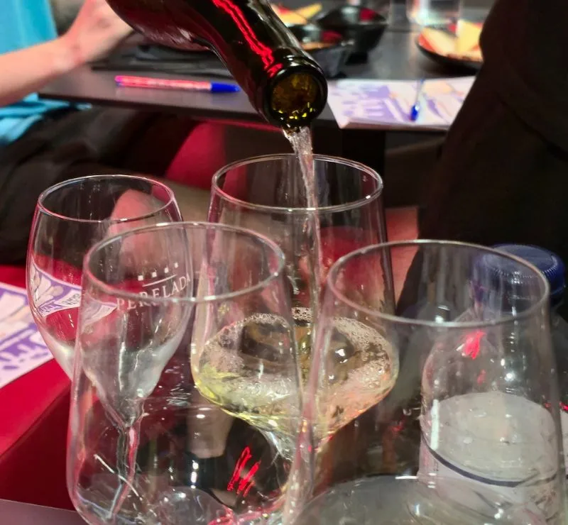 Los vinos de la primera cata de quesos
