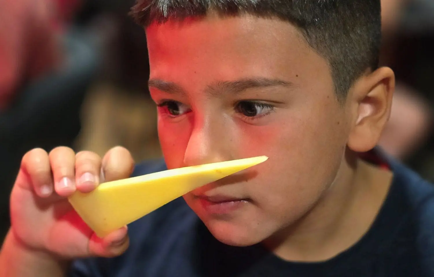 Un niño oliendo un queso artesano gourmet