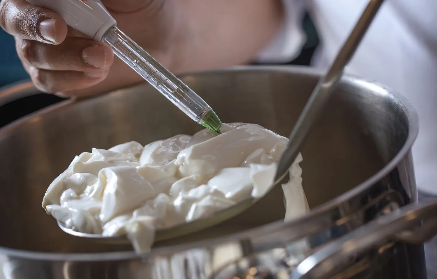 ingredientes del queso fresco casero