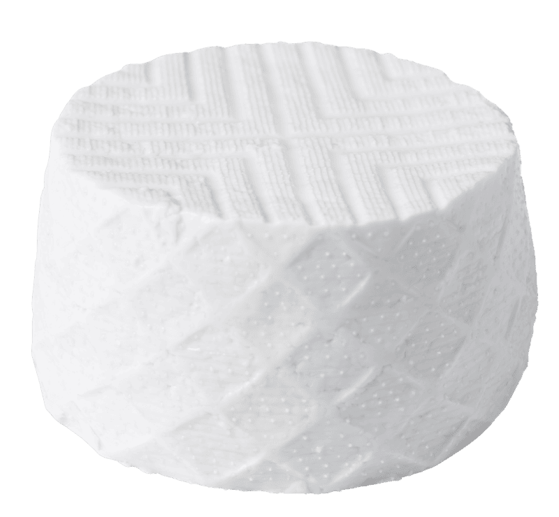 queso fresco artesanal hecho en casa