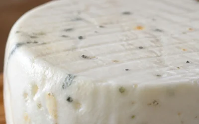 Queso fresco malo ¿cómo identificarlo?