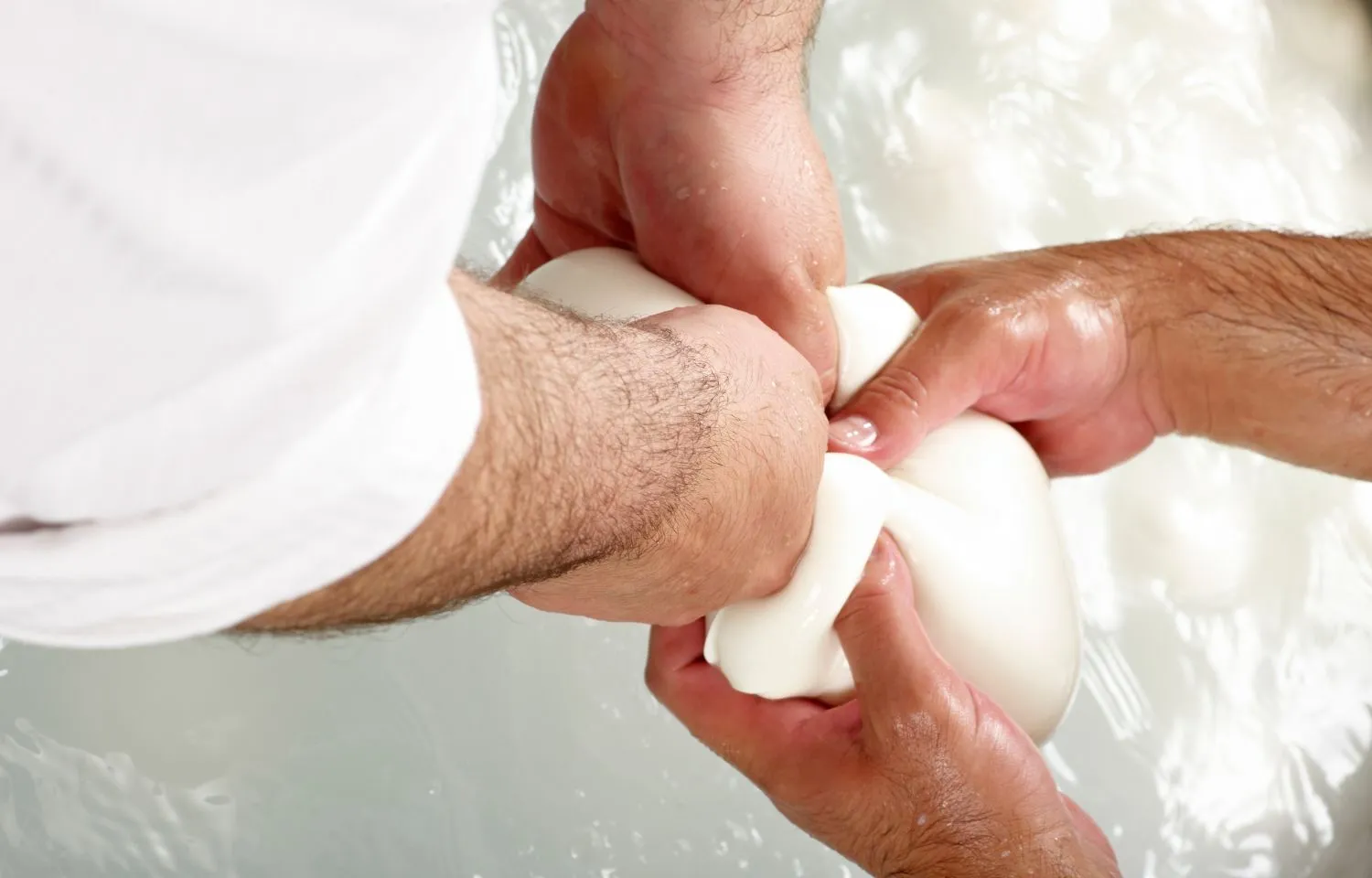 queso fresco sin cuajo