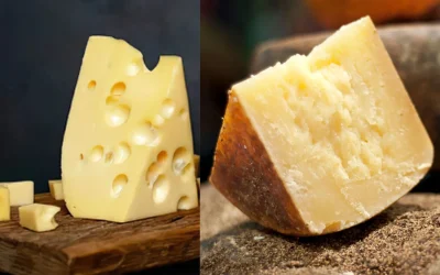 Diferencias entre queso curado y semicurado