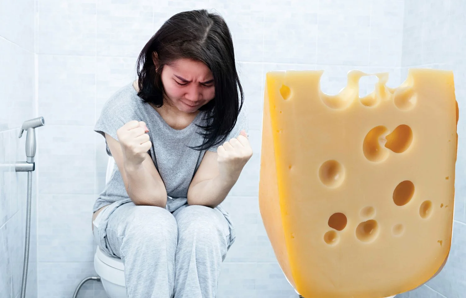 el queso de oveja estriñe