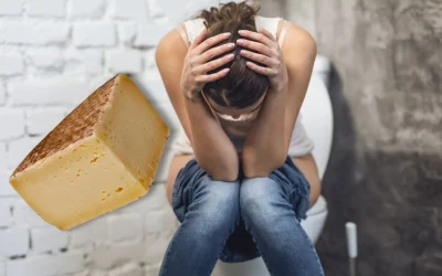 ¿El queso estriñe?