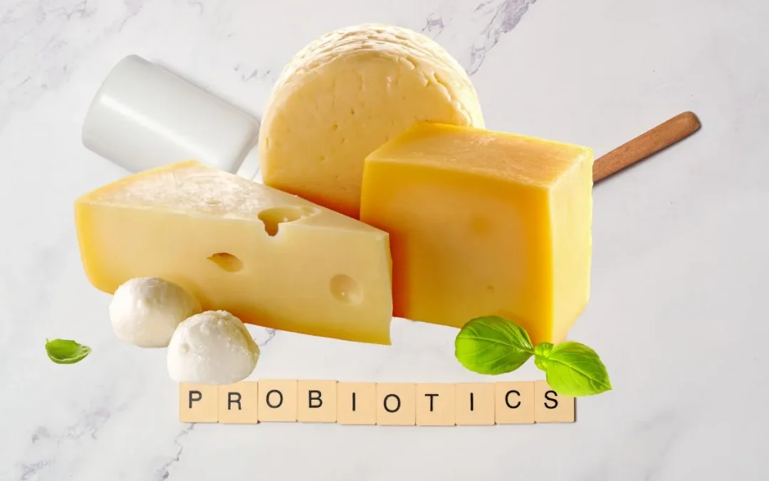 el queso es un probiótico