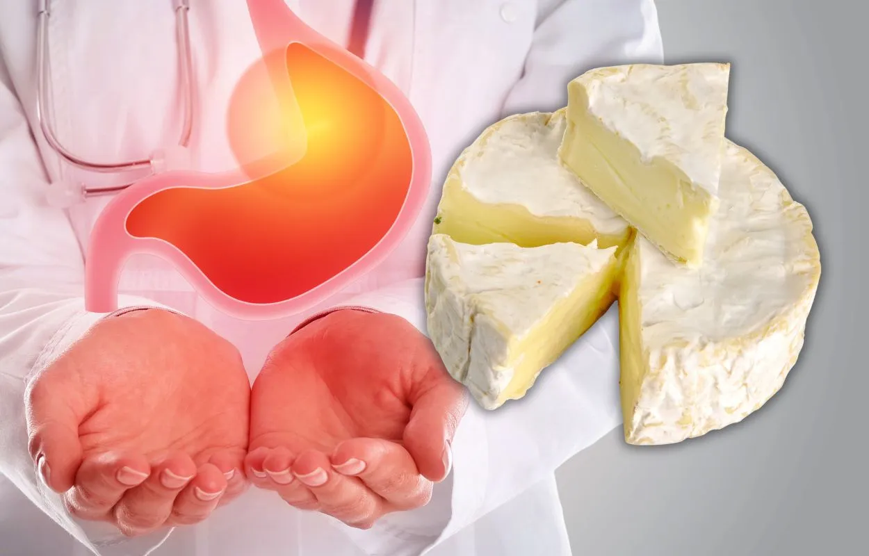el queso produce acidez