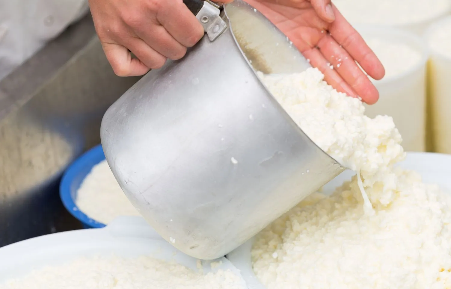 hacer queso casero