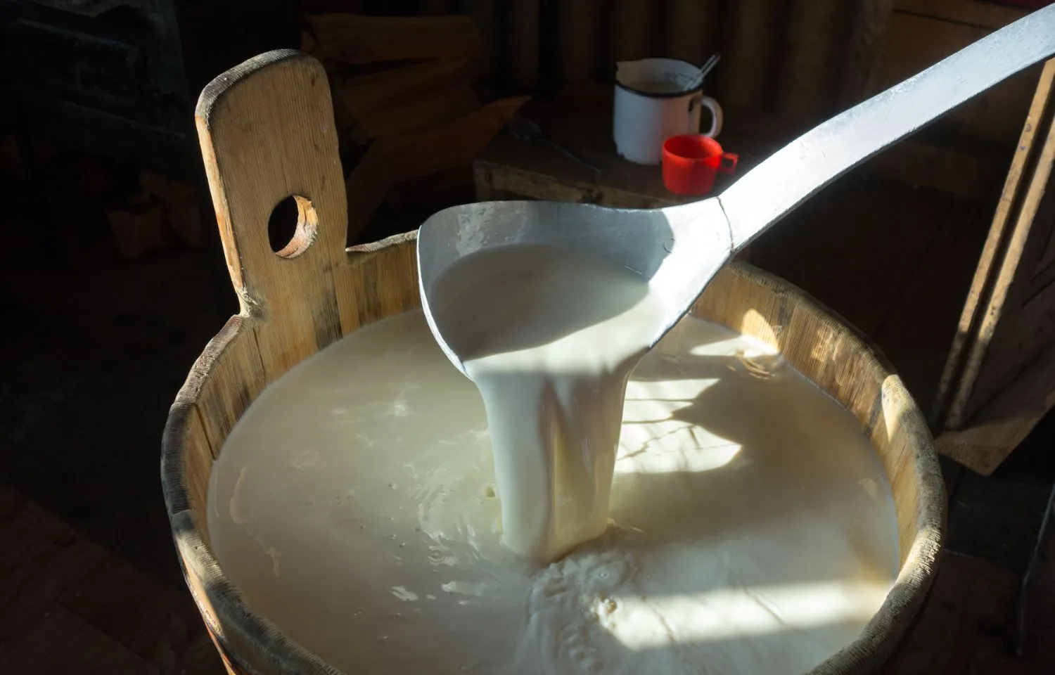 hacer queso en casa