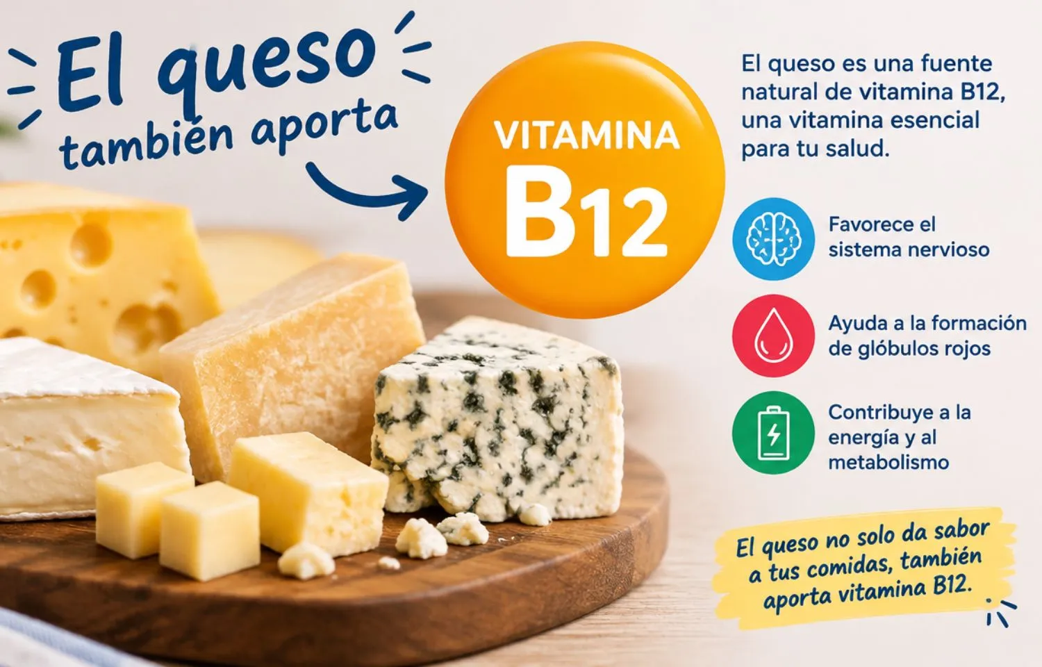 la vitamina B12 viene de la leche